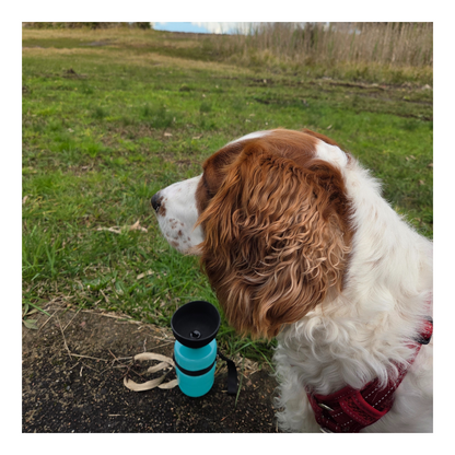600ml Collapsible Dog Water Bottle