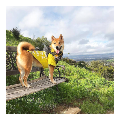 The Dog Face Raincoat