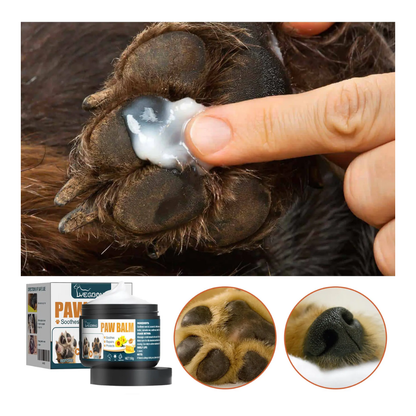 Paw Pad Cream