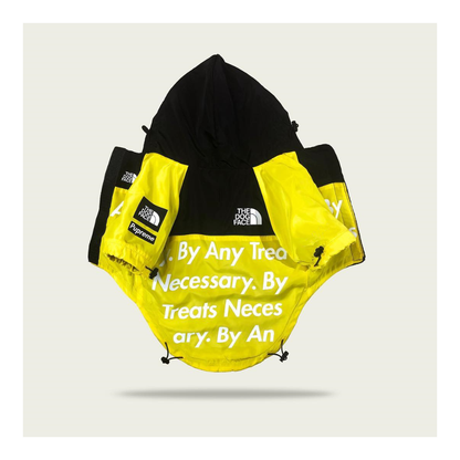 The Dog Face Raincoat