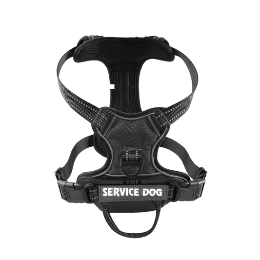 'Y' Shaped Dog Harness