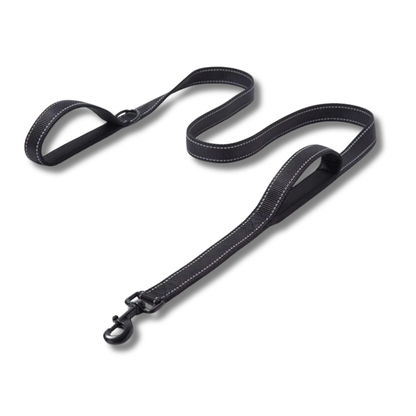 Heavy Duty Dog Leash
