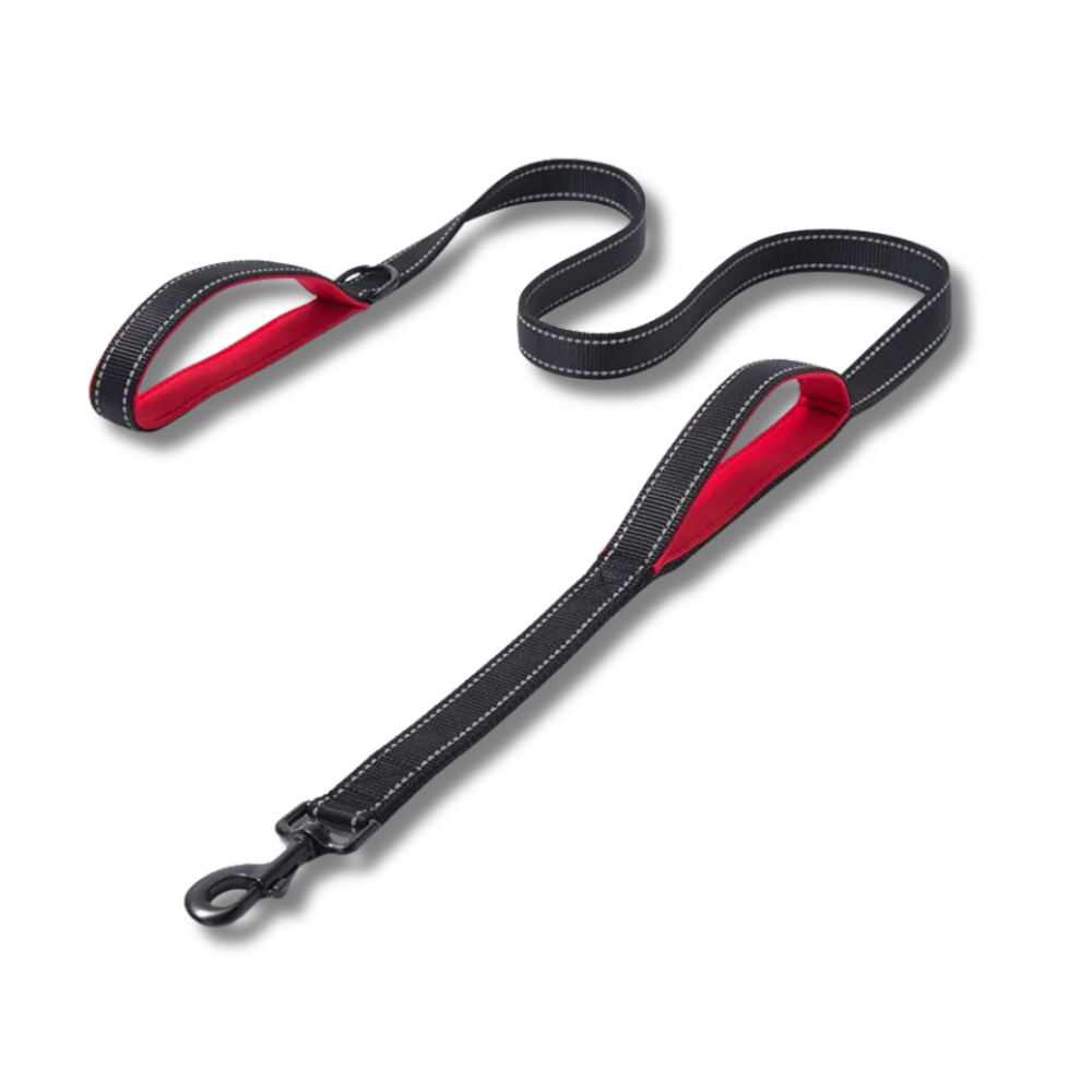 Heavy Duty Dog Leash