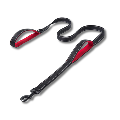 Heavy Duty Dog Leash