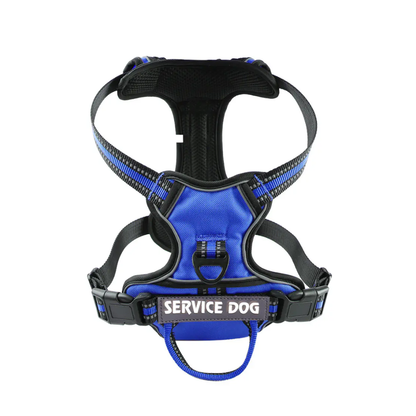 'Y' Shaped Dog Harness