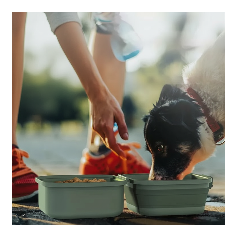 Double-Layer Outdoor Folding Dog Water and Food Bowl