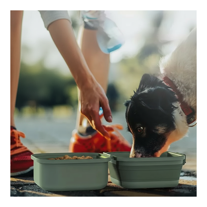 Double-Layer Outdoor Folding Dog Water and Food Bowl