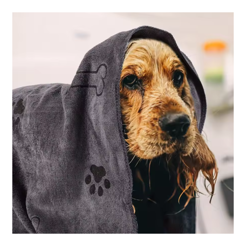 Microfiber Dog Towel (1pc)