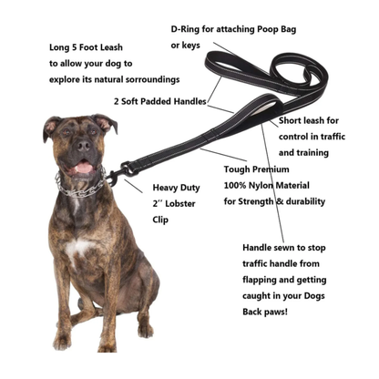 Heavy Duty Dog Leash