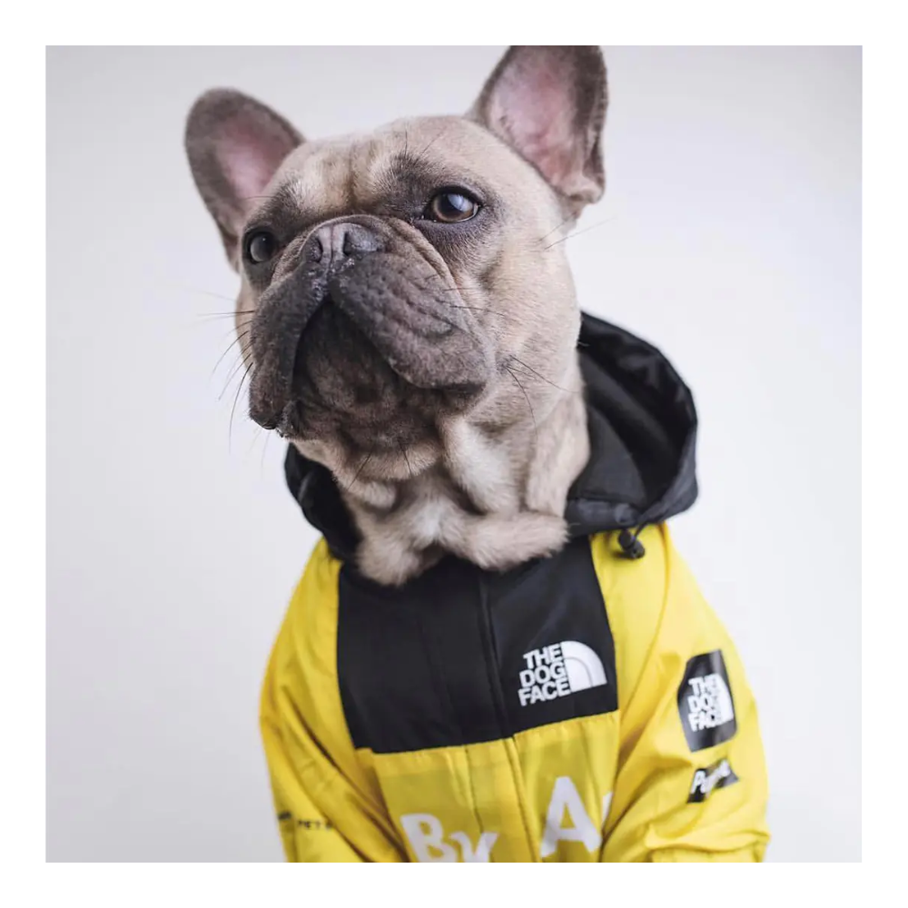 The Dog Face Raincoat