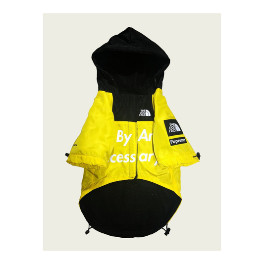The Dog Face Raincoat