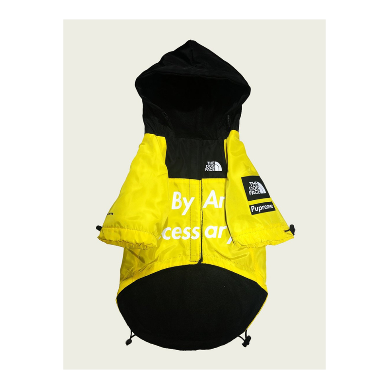 The Dog Face Raincoat
