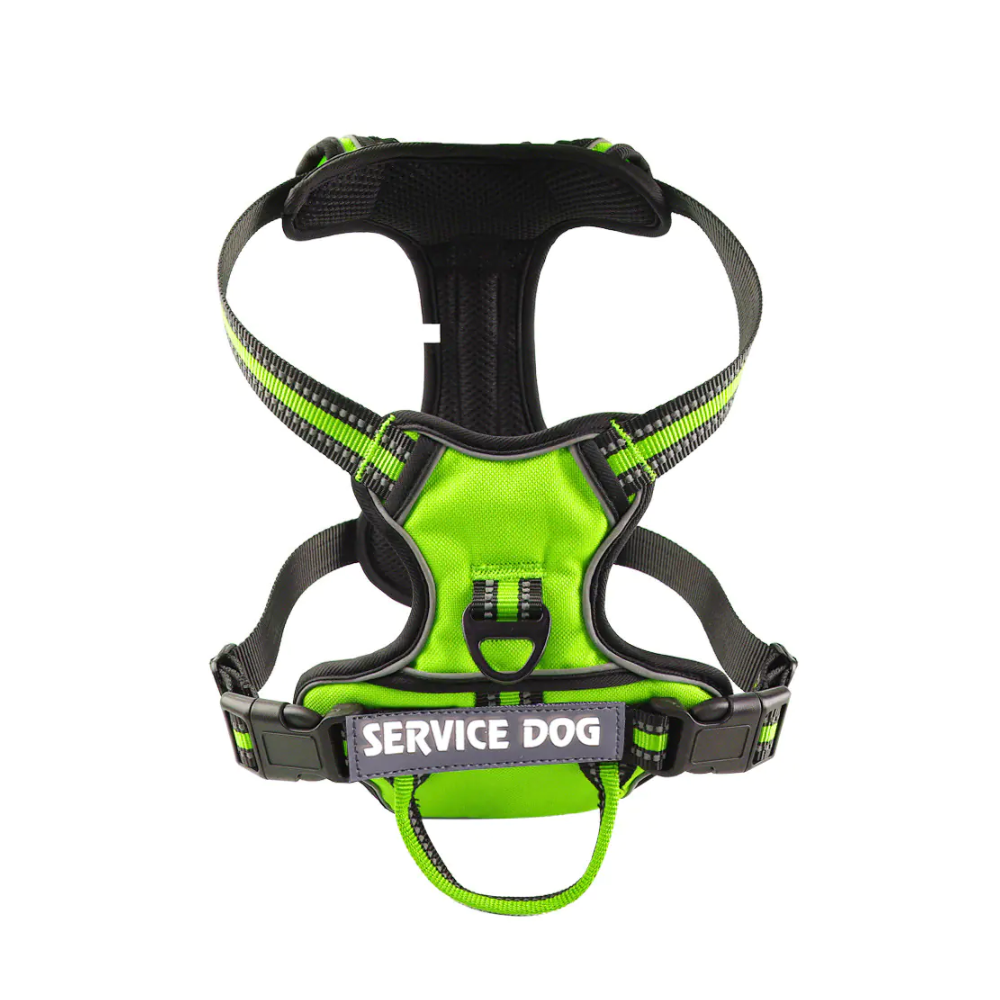 'Y' Shaped Dog Harness