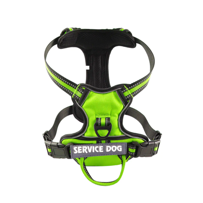 'Y' Shaped Dog Harness