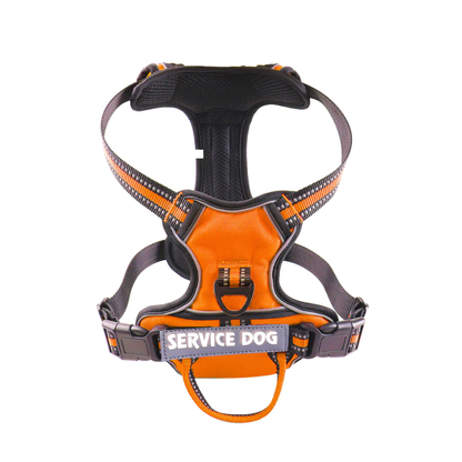 'Y' Shaped Dog Harness