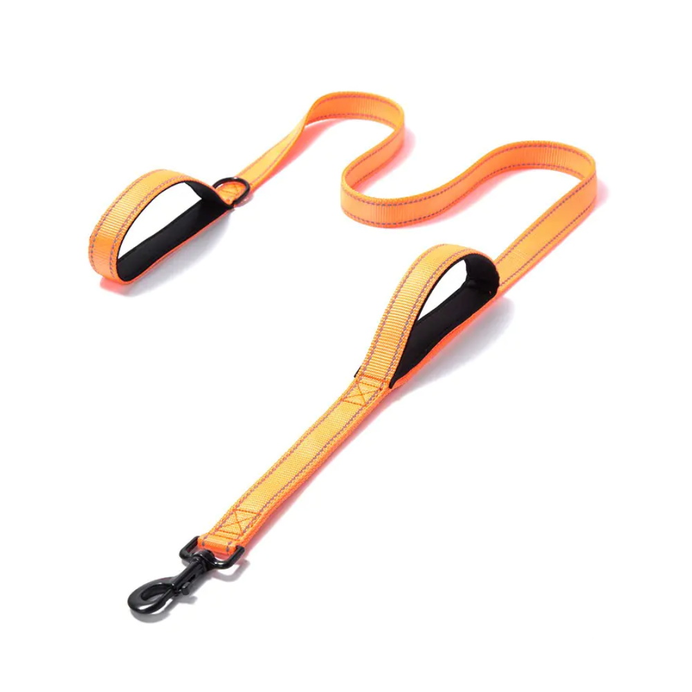 Heavy Duty Dog Leash