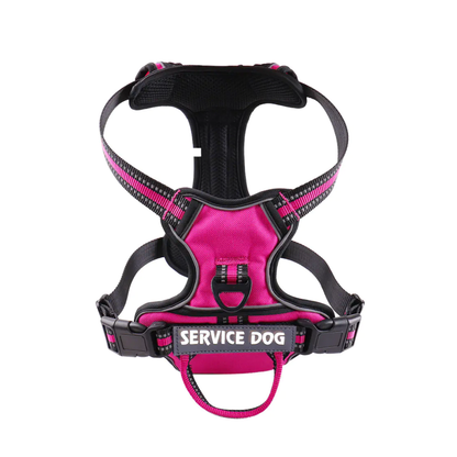 'Y' Shaped Dog Harness