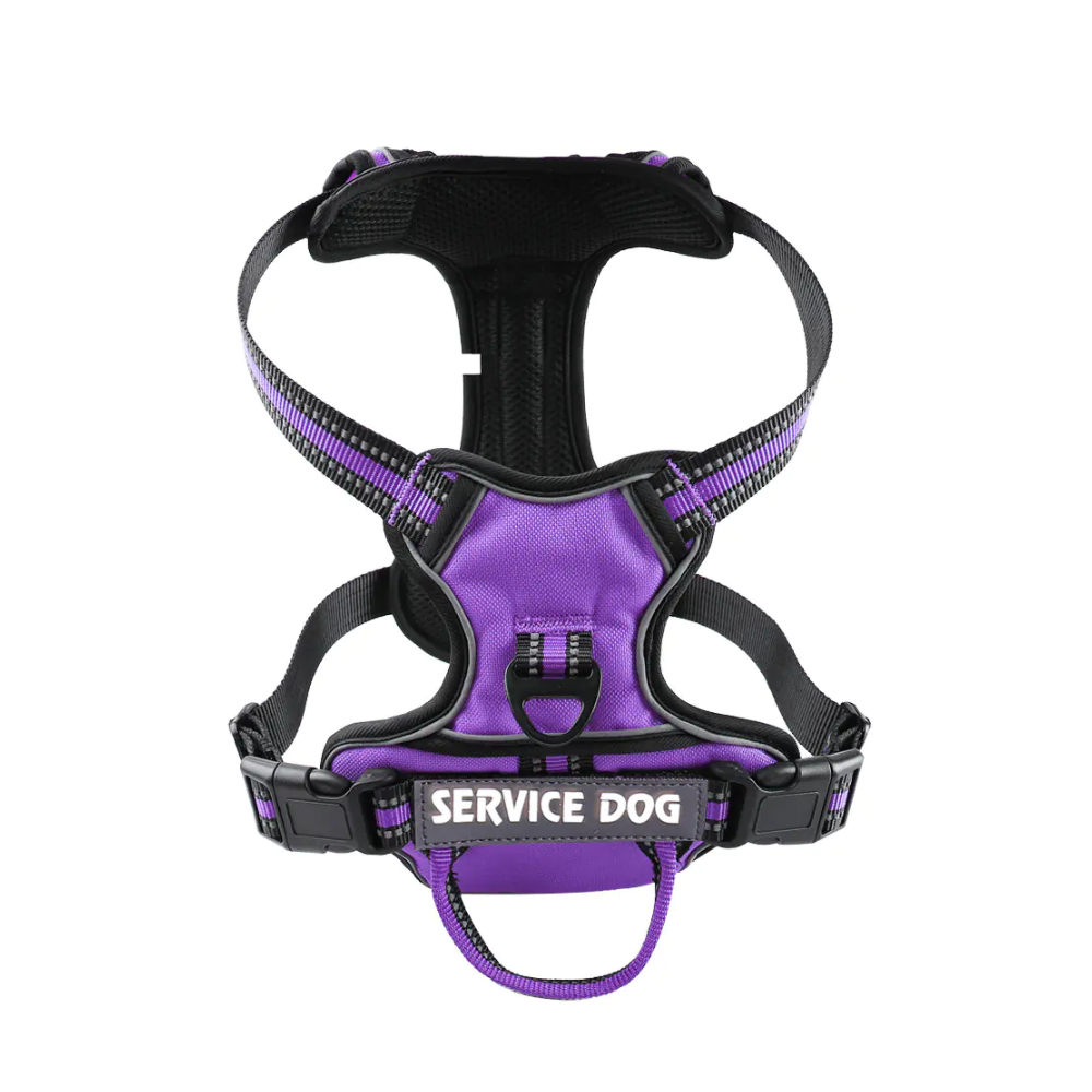 'Y' Shaped Dog Harness