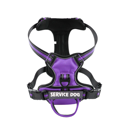 'Y' Shaped Dog Harness