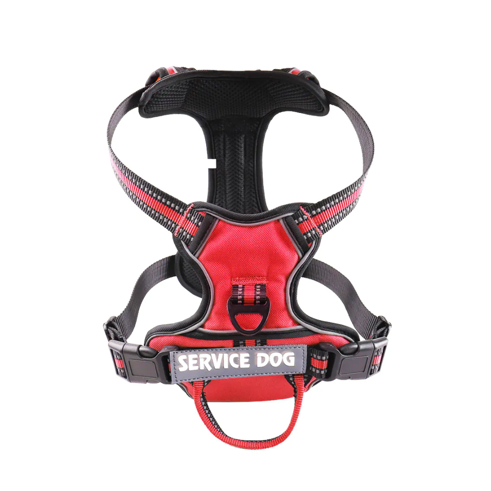 'Y' Shaped Dog Harness