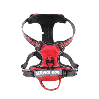 'Y' Shaped Dog Harness